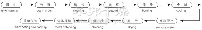 脫水蔬菜帶式幹燥工藝（yì）流（liú）程